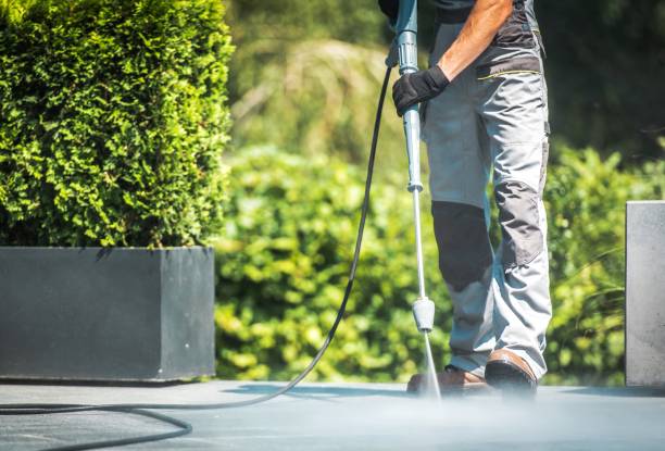 Best House Exterior Washing  in North Lindenhurst, NY