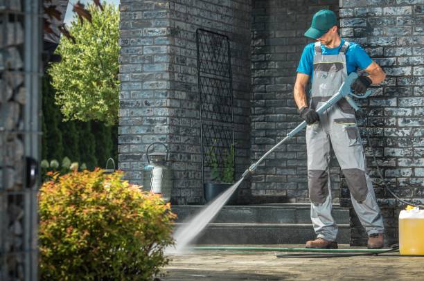 Best Animal Enclosure Cleaning  in North Lindenhurst, NY